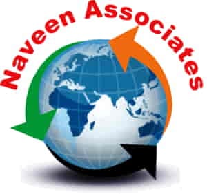 Naveen Associates logo