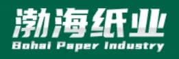 Longkou Bohai Paper Co., Ltd logo