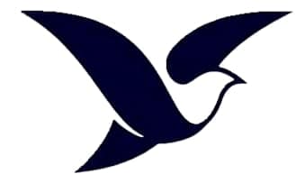 Redone Impex logo