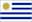 Country Flag