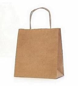 Kraft Paper Bags with Twisted Handles