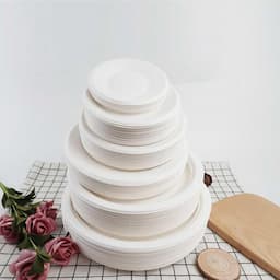 Bagasse Dinner Plates 10inch