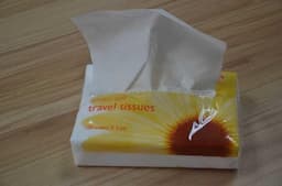 Travel Tissue - Soft Pack Facial Tissue