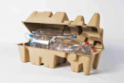Molded Pulp Customized Solutions