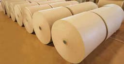 Kraft Liner / Test Liner