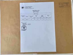 Sack Kraft Paper for Cement Bags