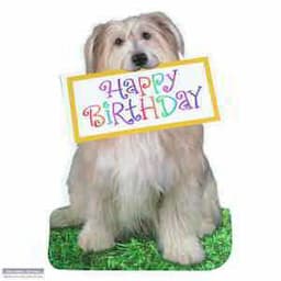 Birthday Card