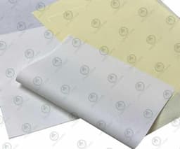 Bible Paper / Quran Paper 