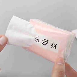 Soft Bag Pocket 2 Ply Facial Tissue Paper