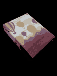 Carousel item 2