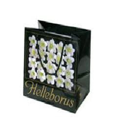 Carousel item 1
