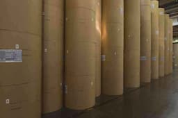 Kraft Paper - Fluting, Test Liner, Core Board, Food Grade