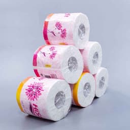 Bulk Soft Toilet Paper Rolls