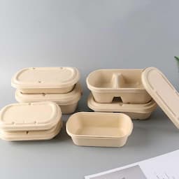 Bagasse Two-compartment Bowls