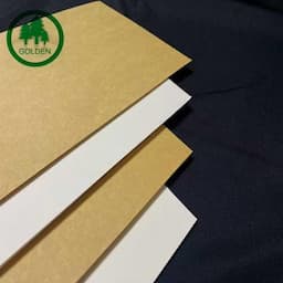 Liquid Packaging Board / LPB