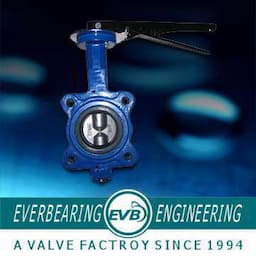 Butterfly Valve