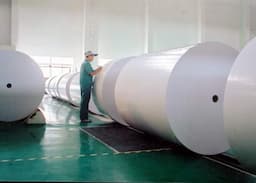 WF Offset Printing Paper