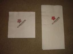 Paper Napkin 33*33cm 2ply 1/8fold