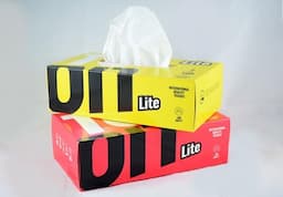 Facial Tissue Paper in Box, 2ply, 100 Sheets