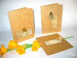 Napali Greeting Cards - Burly Wood Color