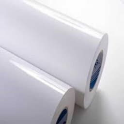 PE Coated Paper