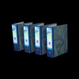 Nandi Office Box Files (Pack of 4)