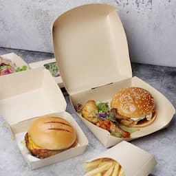 Burger Boxes (Ordinary / Corrugated)