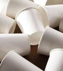 Cup Stock (PE Coated)