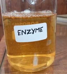 Enzymes