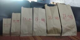 Paper Bags (Grocery)