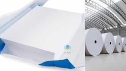 Copier Paper / WFU Paper