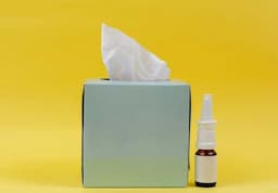 Napkin Tissue Jumbo Rolls