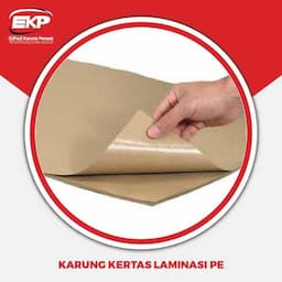PE Laminated Paper Sack 