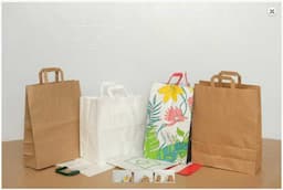 Flat Handle Paper Bags