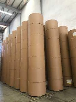 PLA Coated Kraft Paper