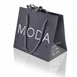 Luxury Custom Printed Laminated Paper Carrier Bags