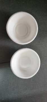 Disposable Tableware