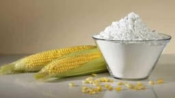 Starch Powder
