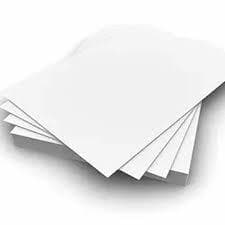 PE Coated Paper