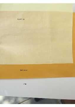 Silicone Coated Release Paper